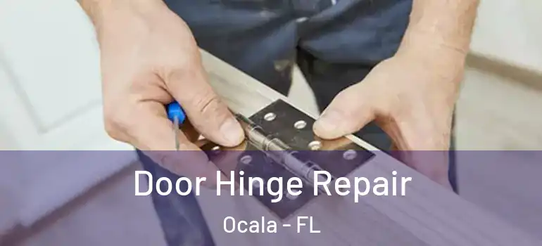  Door Hinge Repair Ocala - FL