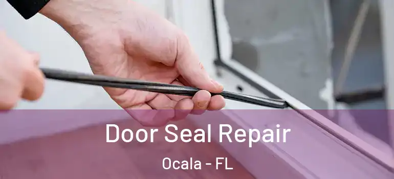  Door Seal Repair Ocala - FL