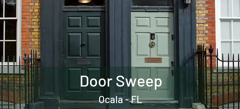  Door Sweep Ocala - FL
