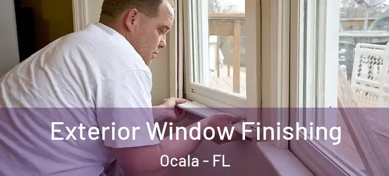  Exterior Window Finishing Ocala - FL