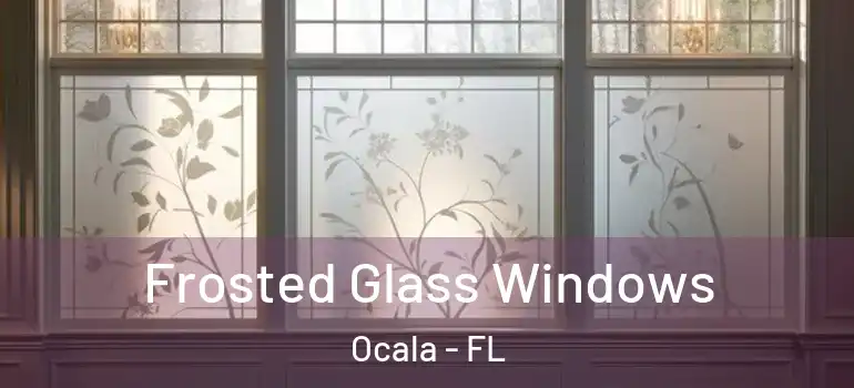  Frosted Glass Windows Ocala - FL