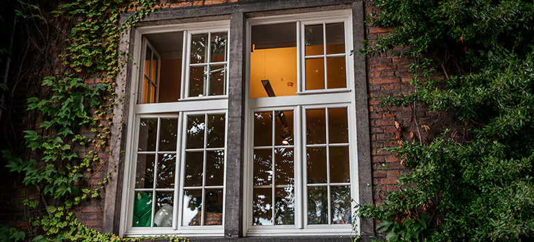 Energy Efficient Wood Windows in Ocala, FL