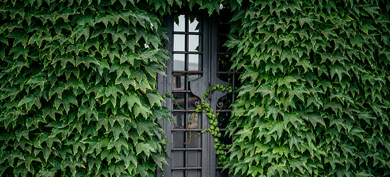 Garden Gate Repair in Ocala, FL