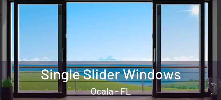  Single Slider Windows Ocala - FL