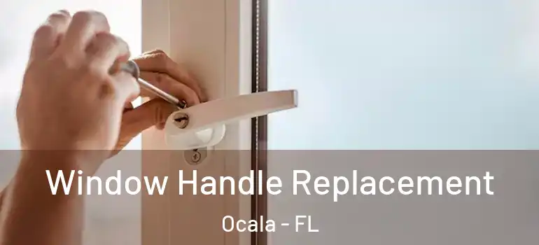  Window Handle Replacement Ocala - FL