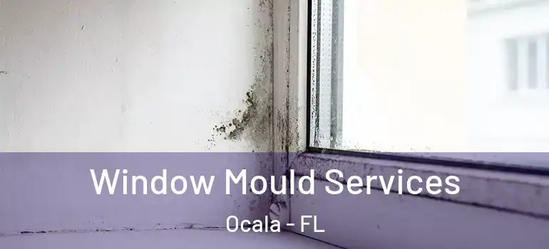  Window Mould Services Ocala - FL