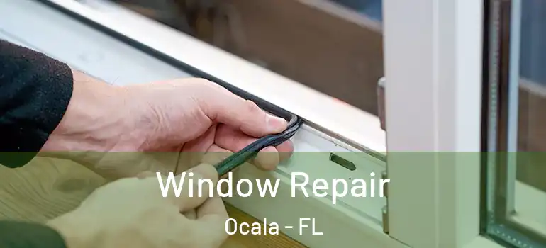  Window Repair Ocala - FL