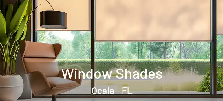  Window Shades Ocala - FL