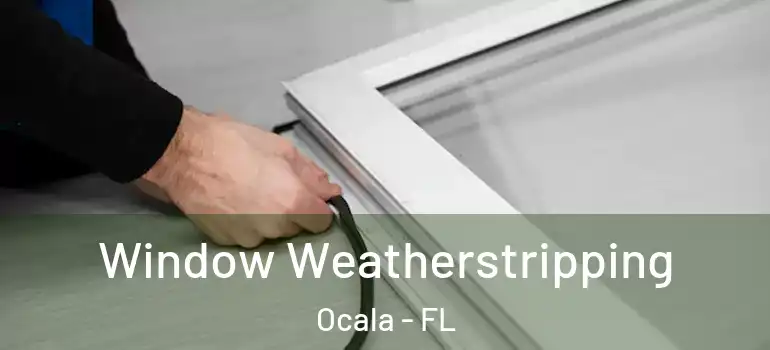  Window Weatherstripping Ocala - FL